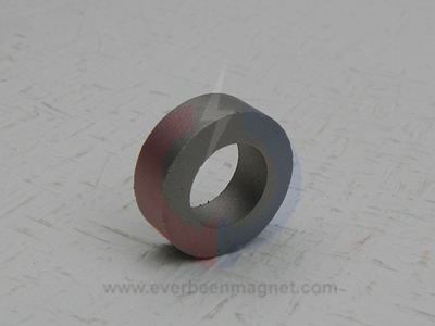 Ring SmCo magnets